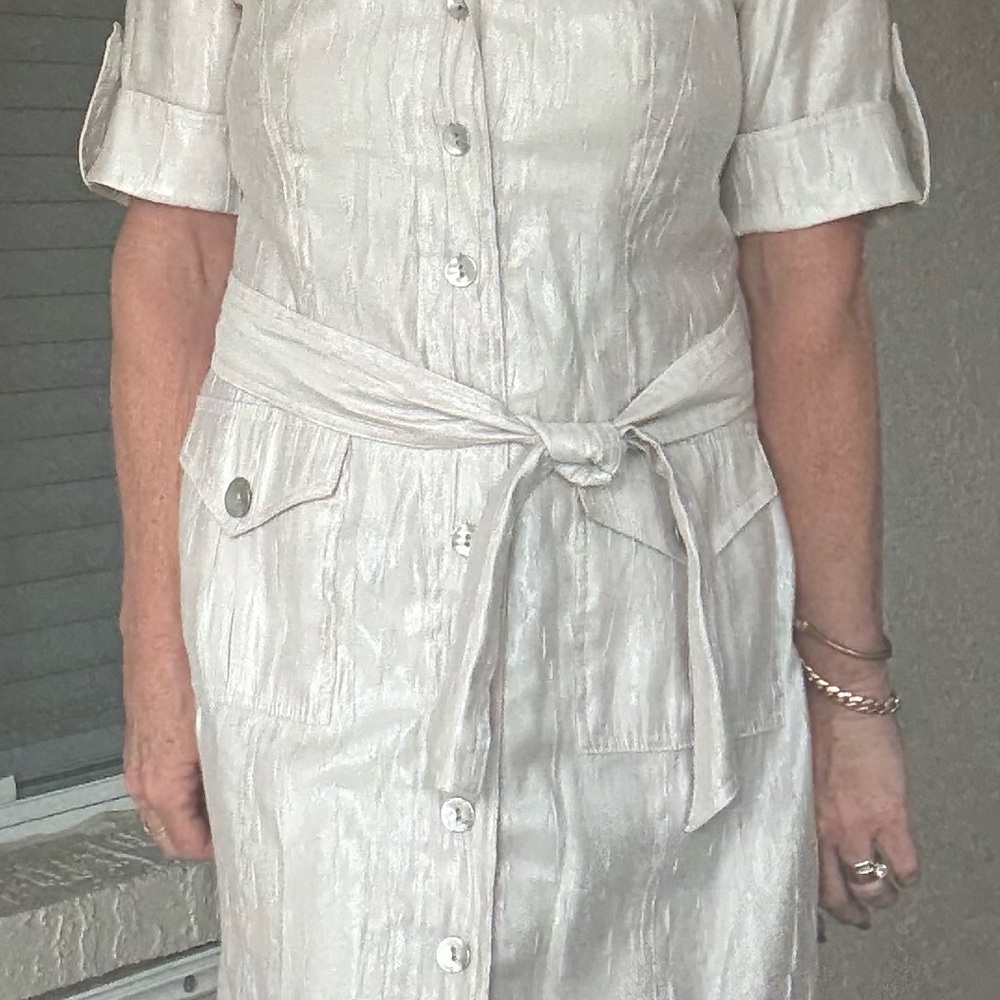 Chico's Elegant Shimmering Silver Cream Textured Dress - Picture 3 of 8